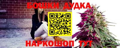 PSILOCYBIN Новокубанск